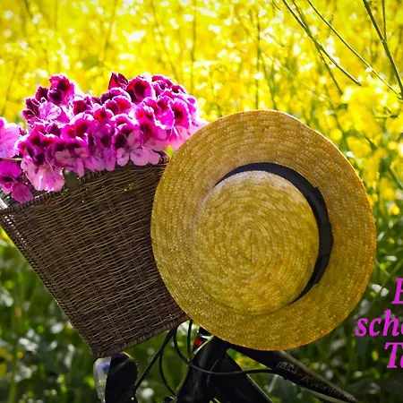 Nicht Mehr Da Tatil Evi